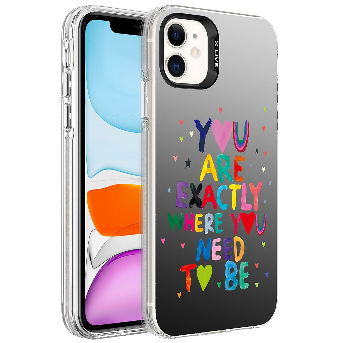 Apple iPhone 11 Uyumlu Kılıf Desenli Zore Silver Sert Kapak