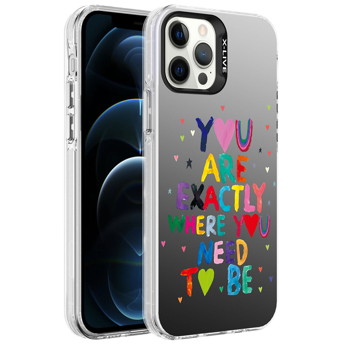Apple iPhone 12 Pro Max Uyumlu Kılıf Desenli Zore Silver Sert Kapak